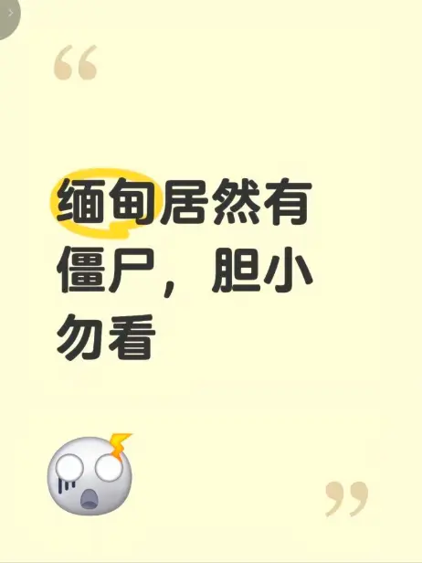 《缅甸僵尸出土事件》高清无删减视频在线播放 - 揭秘缅北神秘事件真相 - 完整版免费观看高清视频