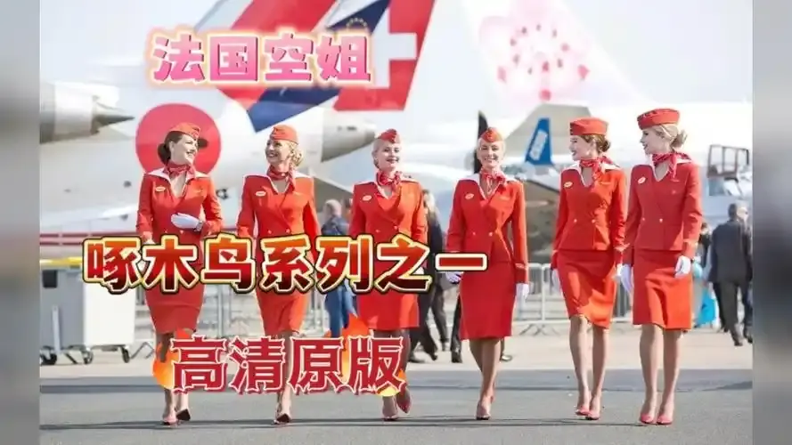 《法国空姐4》资源下载-法国空姐4法国完整版全集1-3季HD高清在线观看